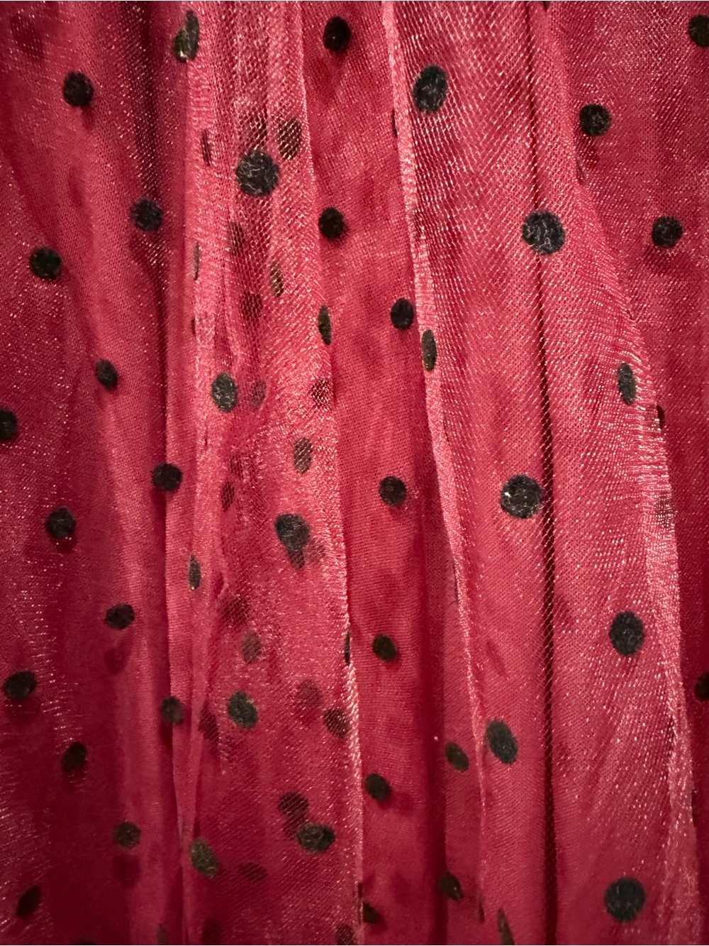 Draper James Burgundy Tulle Midi Skirt with Black Polka Dots and Black Waistband - Picture 3 of 7
